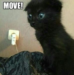 Meet your Posher, Kay stein